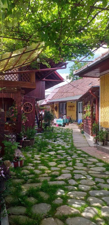 Casa Boierului Imbri Villa Cîrţişoara Exterior foto
